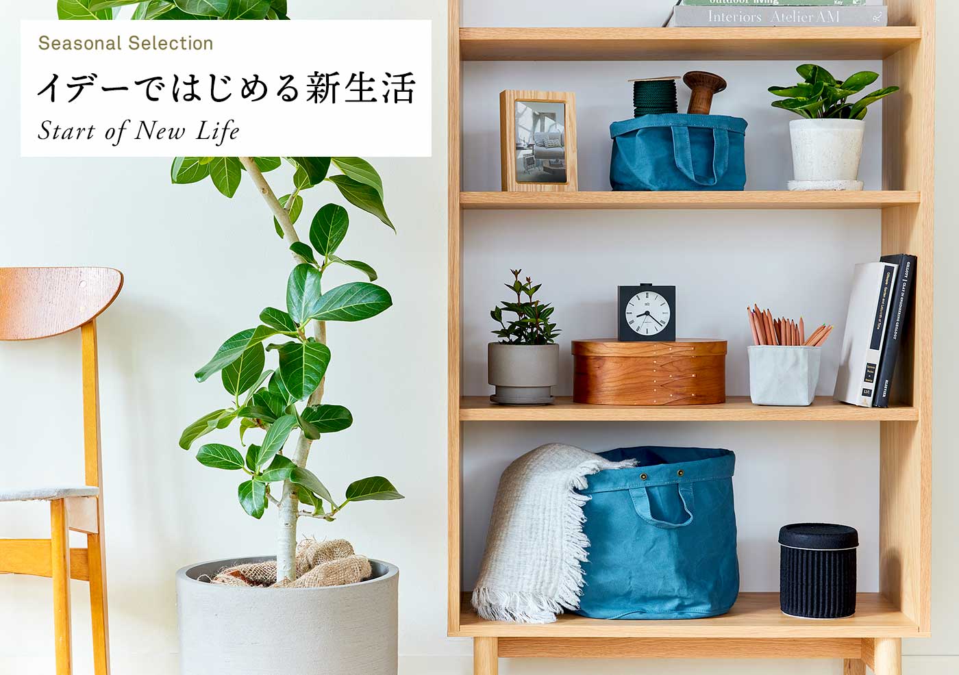 �C�f�[�ł͂��߂�V����