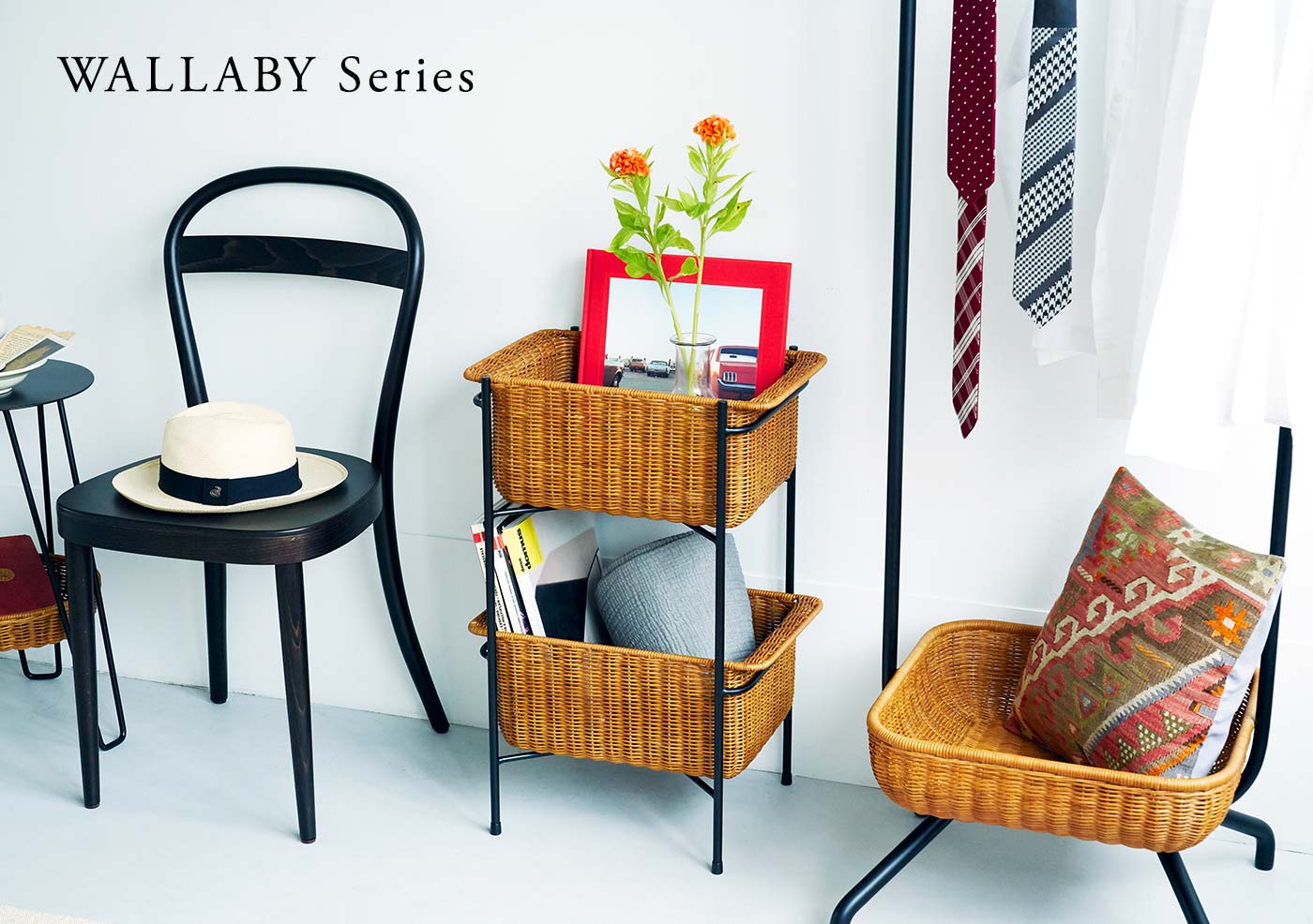 WALLABY Series