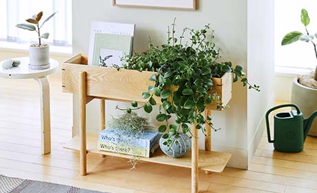 PLANTER STAND