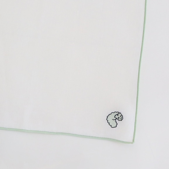 yʐ^zPOOL Everyday nJ` cloudy fly 4