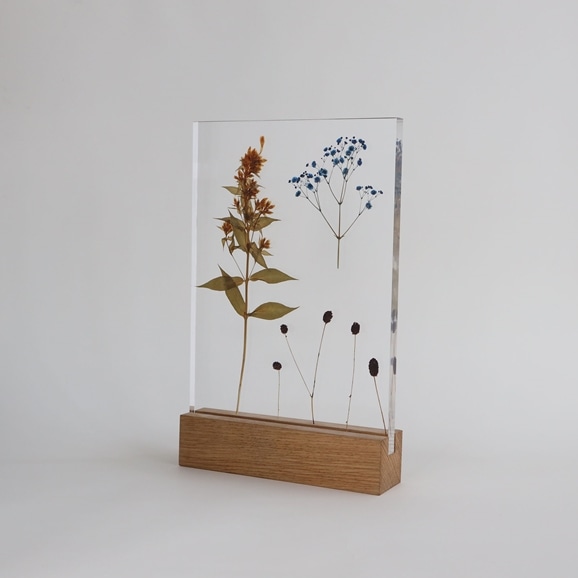 yʐ^zy_zOR uAcrylic pressdryflower 03v
