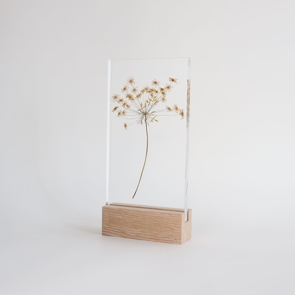 yʐ^zy_zOR uAcrylic pressdryflower 08v