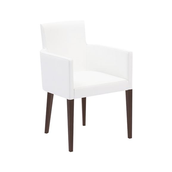 yʐ^zy󒍐Yiz ROUND ARM CHAIR F