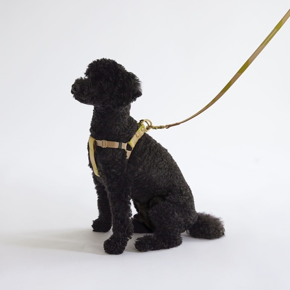 MILOU by IDEE Lead & Harness M J~[Zbg