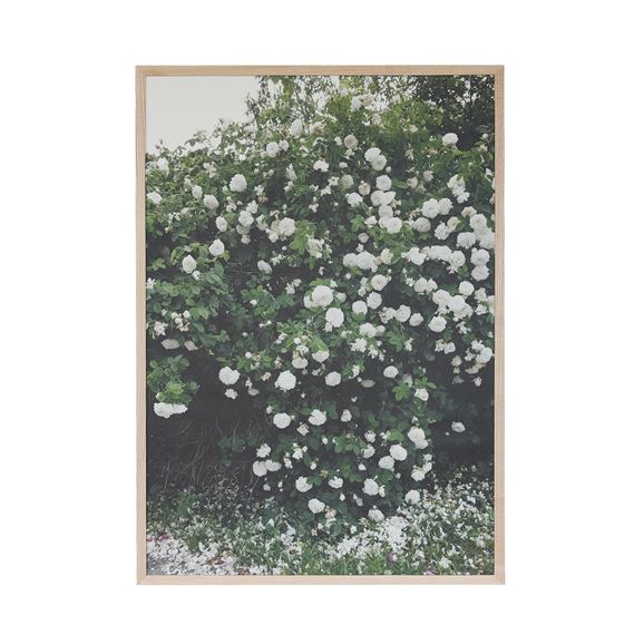 yʐ^zG[TxbgEfP uROSESiWHITEjv #Fine Little Day