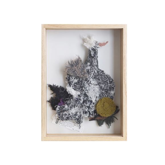 yʐ^zy_z ANIMA FORMA  uAFID250023v