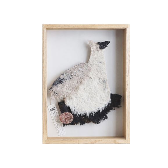 y_z ANIMA FORMA  uAFID250025v