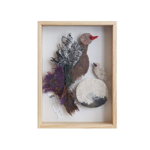 yʐ^zy_z ANIMA FORMA  uAFID250028v