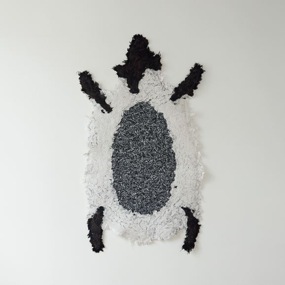 yʐ^zy_z ANIMA FORMA  uAF230139v