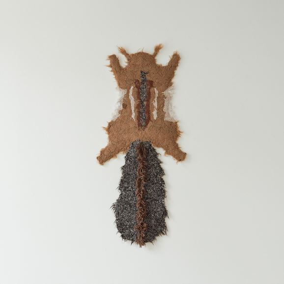 yʐ^zy_z ANIMA FORMA  uAF240245v