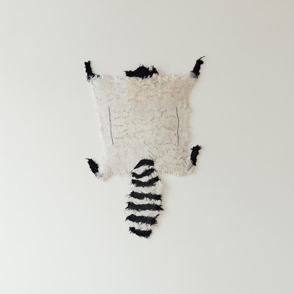 yʐ^zy_z ANIMA FORMA  uAF240239v