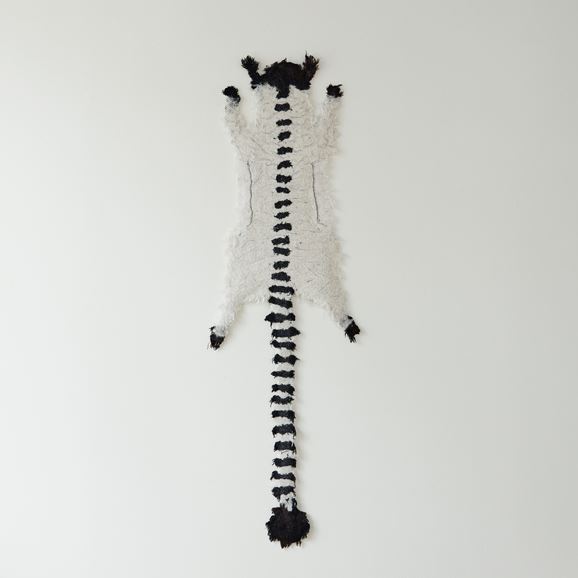 y_z ANIMA FORMA  uAF240225v