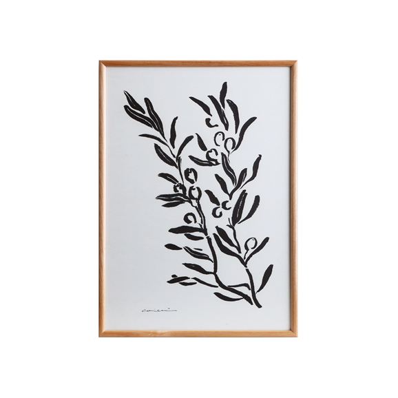 �y�ʐ^�z�y��ԕi�z coricci �uGarden Olive�v