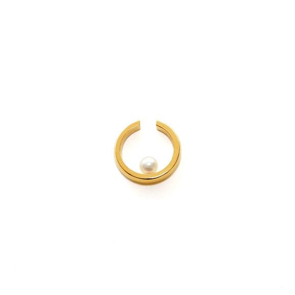 �y�ʐ^�zsusui pearl doughnuts �C���J�t �V���O�� �S�[���h ���ʎd�グ