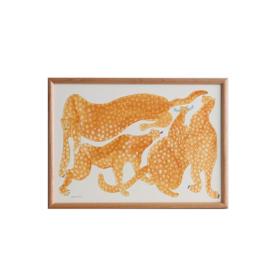 �y�ʐ^�z�y��_���zcoricci �utigers�v