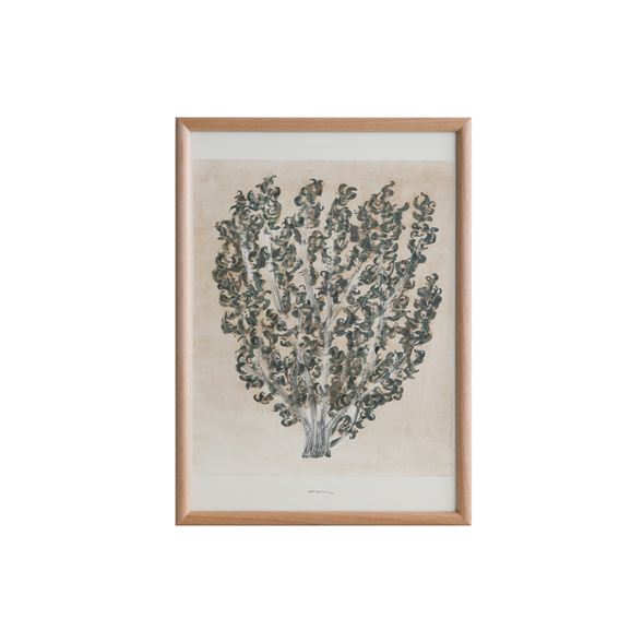 coricci コリッチ｜IDEE SHOP Online