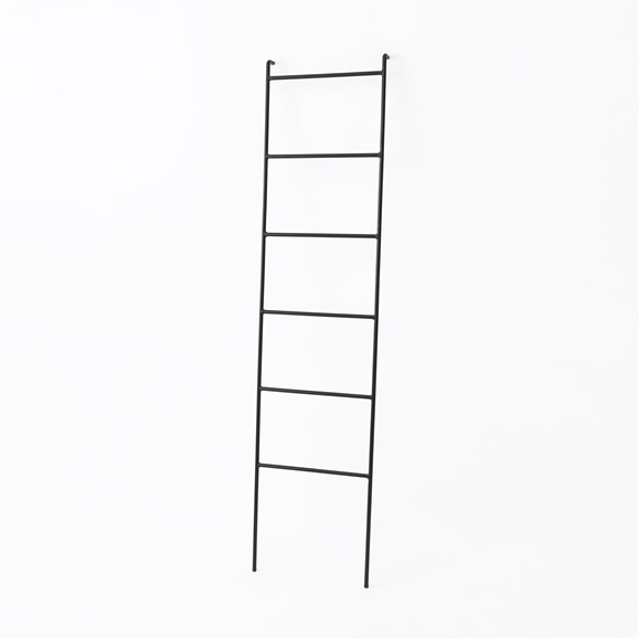 IRON LADDER