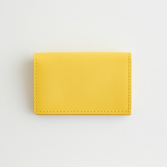 yʐ^zHender Scheme folded card case CG[