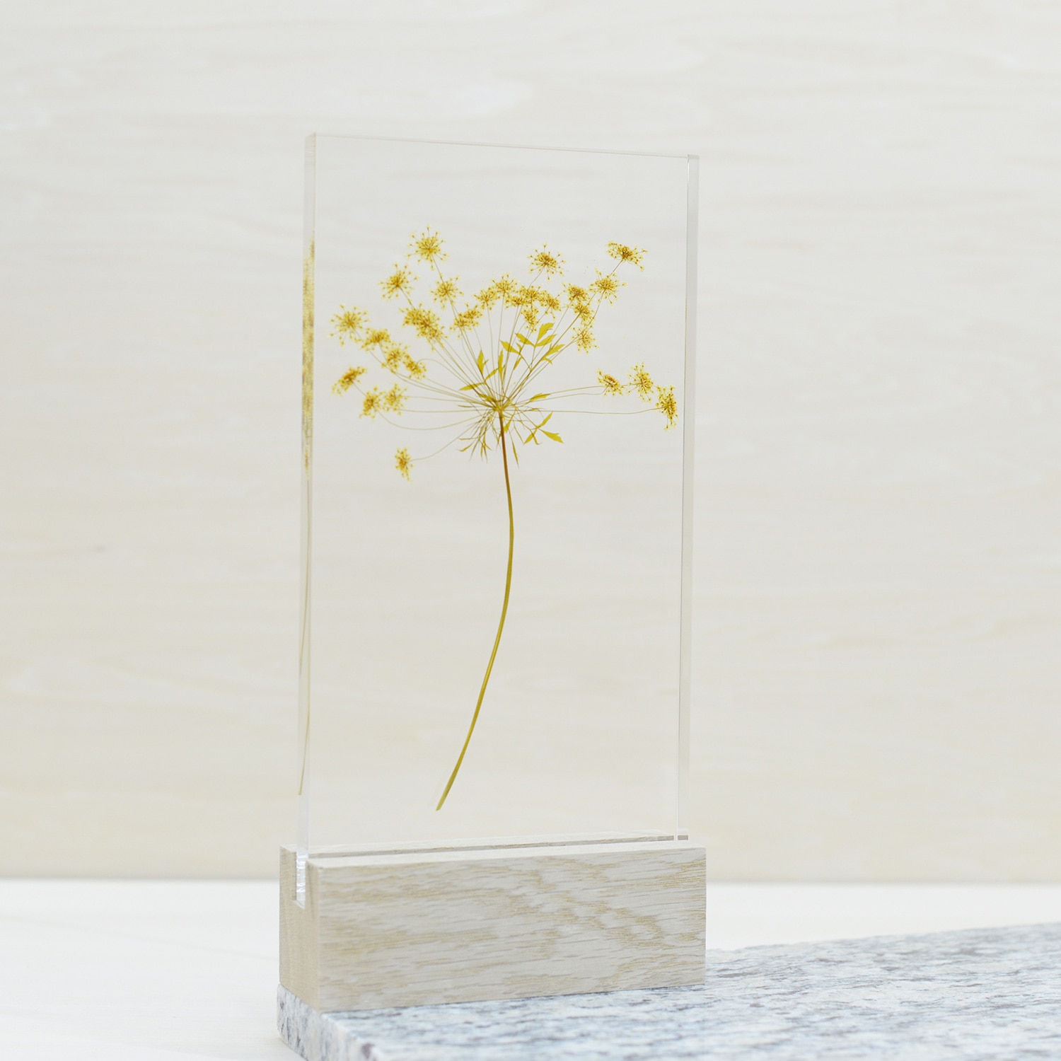 Idee Shop Online 一点物 外山 翔 押し花 E 2 オブジェ Idee Shop Online 一点物 外山 翔 押し花 E 2 オブジェ