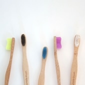 Humble Brush zCg