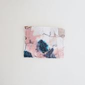 y_z Ph.D. pouch small