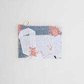 y_z Ph.D. pouch small