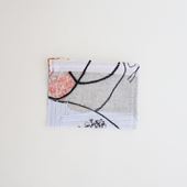 y_z Ph.D. pouch small
