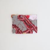 y_z Ph.D. pouch small
