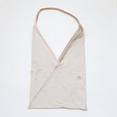 y_z Ph.D. bag 12