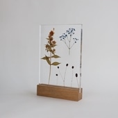 y_zOR uAcrylic pressdryflower 03v