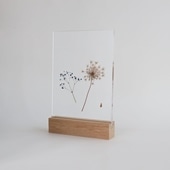 y_zOR uAcrylic pressdryflower 05v