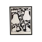 y_zcoricci ubotanical NVbNX 2v 2023x