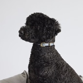 MILOU by IDEE Collar M neBO