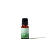 ヨウコ様 リクエスト 11点 まとめ商品　アロマオイル Yohaku Aroma oil Hinoki 10ml｜その他フレグランス｜IDEE SHOP