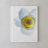 щV Living Flowers iW