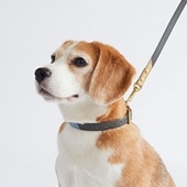 MILOU by IDEE Collar L neBO