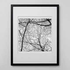 IDEE購入　林雅之　写真額入り 031044.jpg