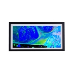 静流　家元　押し絵1 知られざる現代京都の超絶水墨画家（5）「藤井湧泉と京都の禅宗