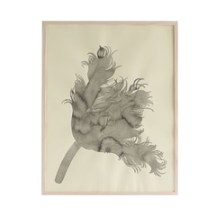一点物】有瀬龍介 「Tulip」｜絵画・イラスト（一点もの）｜IDEE SHOP