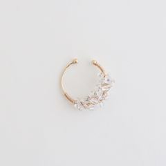 asumi bijouxアスミビジュー asatsuyu long pierce 734167.jpg