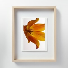 受注生産品】 林雅之 「LF054 Tulipa チューリップ」 M｜写真｜IDEE