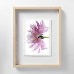 林雅之 「LF057 Dahlia ダリア」 M｜写真｜IDEE SHOP Online